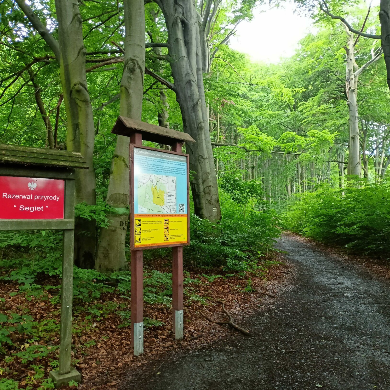 Rezerwat przyrody Segiet