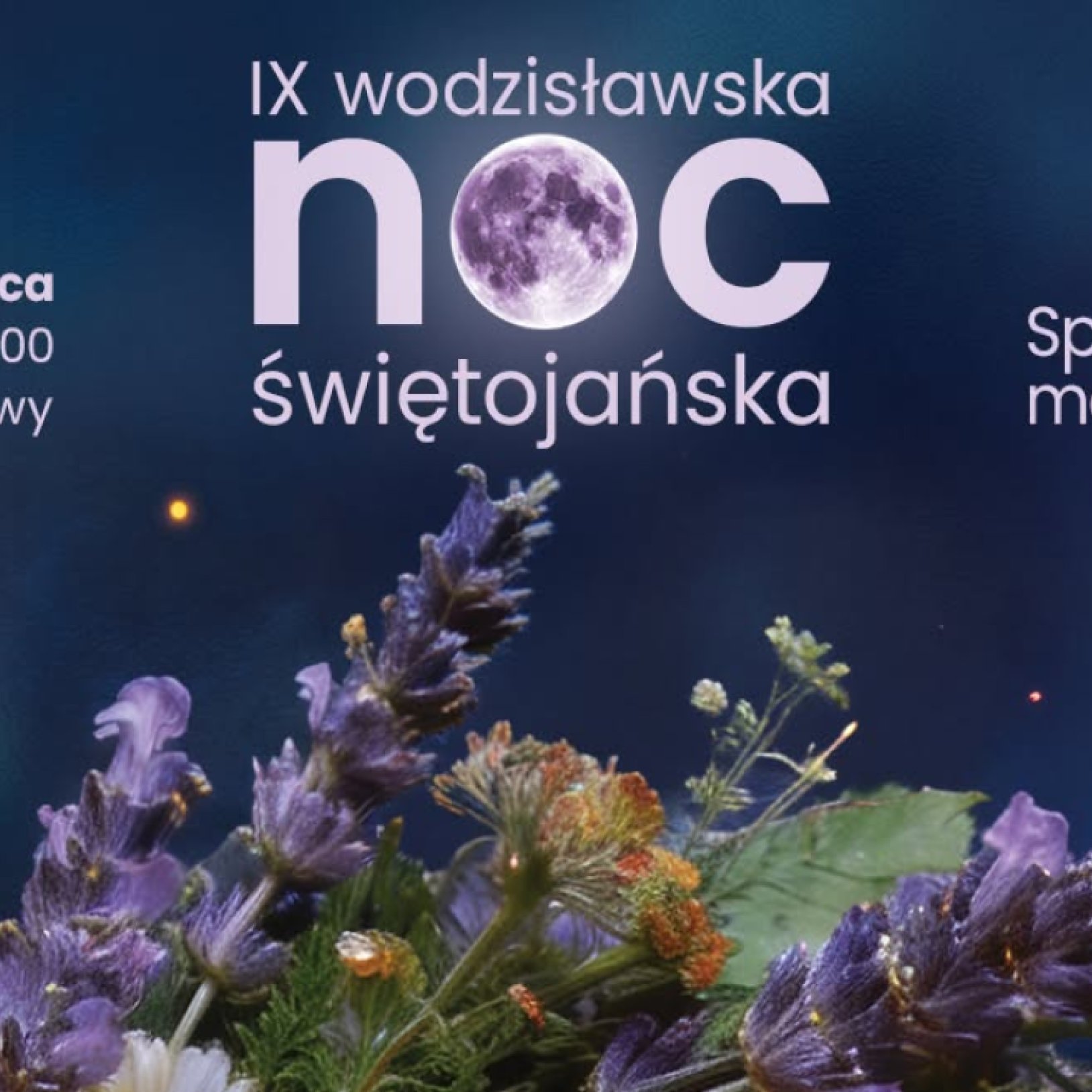 IX Wodzisławska Noc Świętojańska