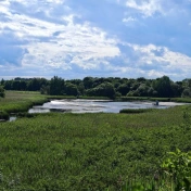 Jezioro