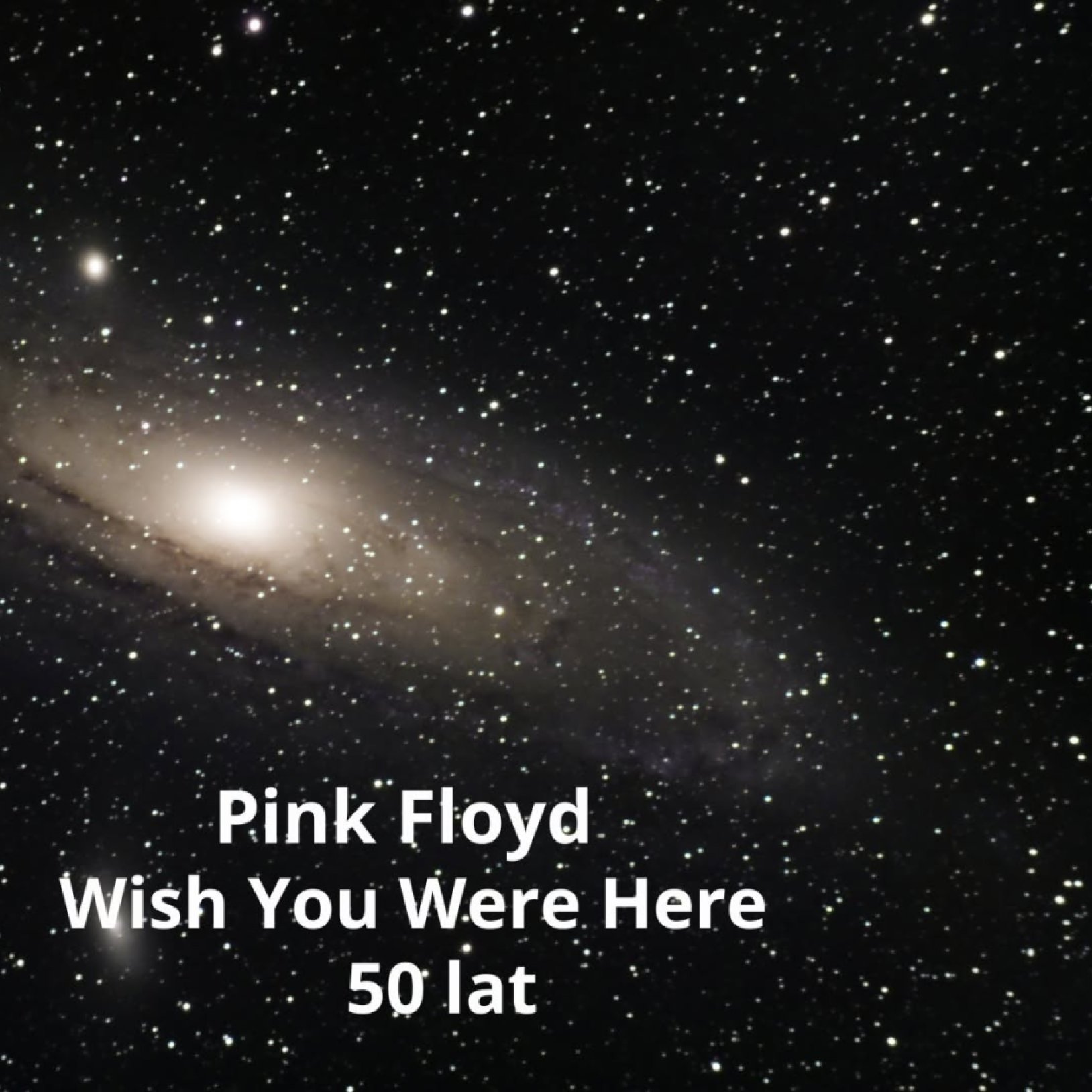 Pink Floyd Wish You Were Here | 50-lecie | VINYLFEST | PLANETARIUM ŚLĄSKIE