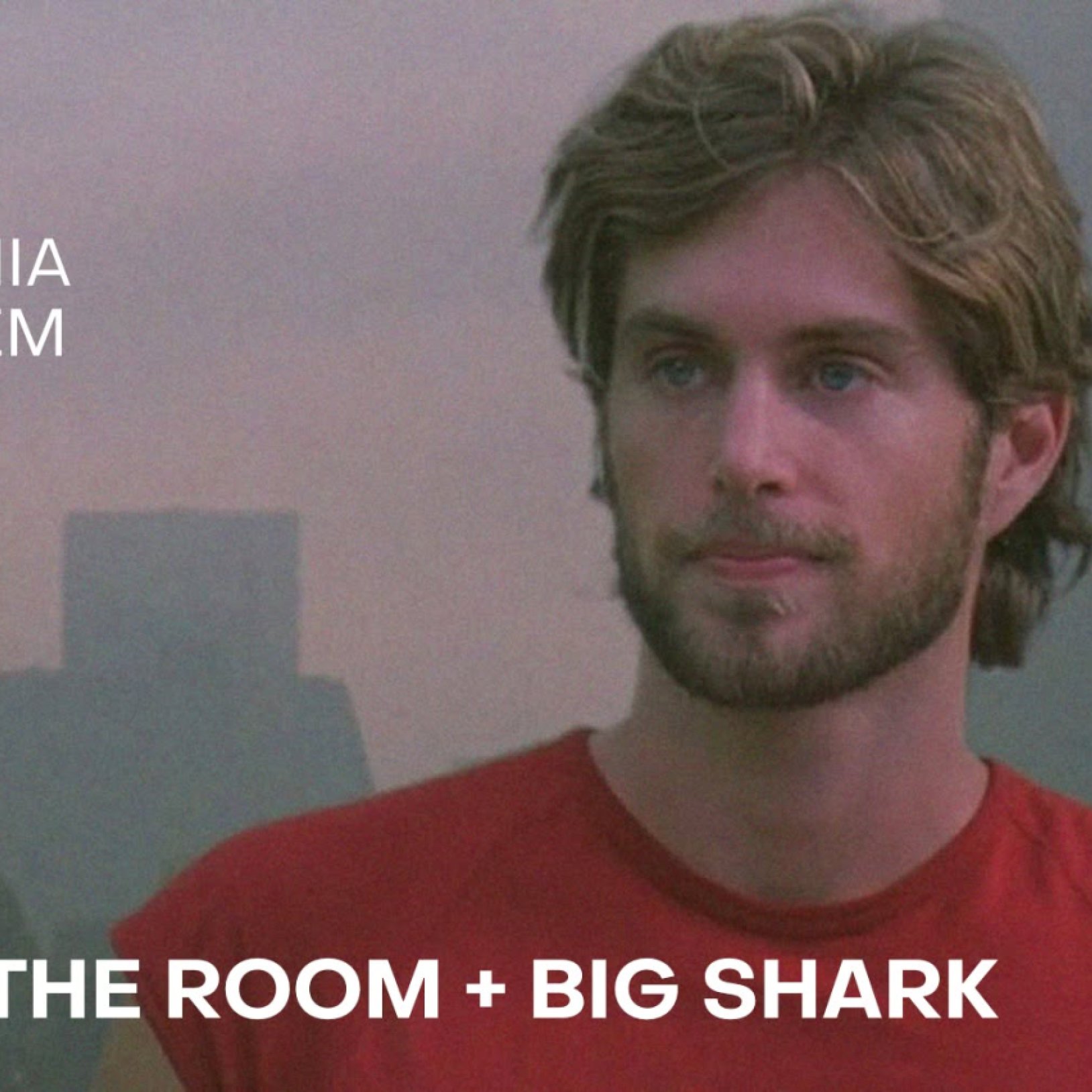 The Room i Big Shark + spotkanie z Gregiem Sestero