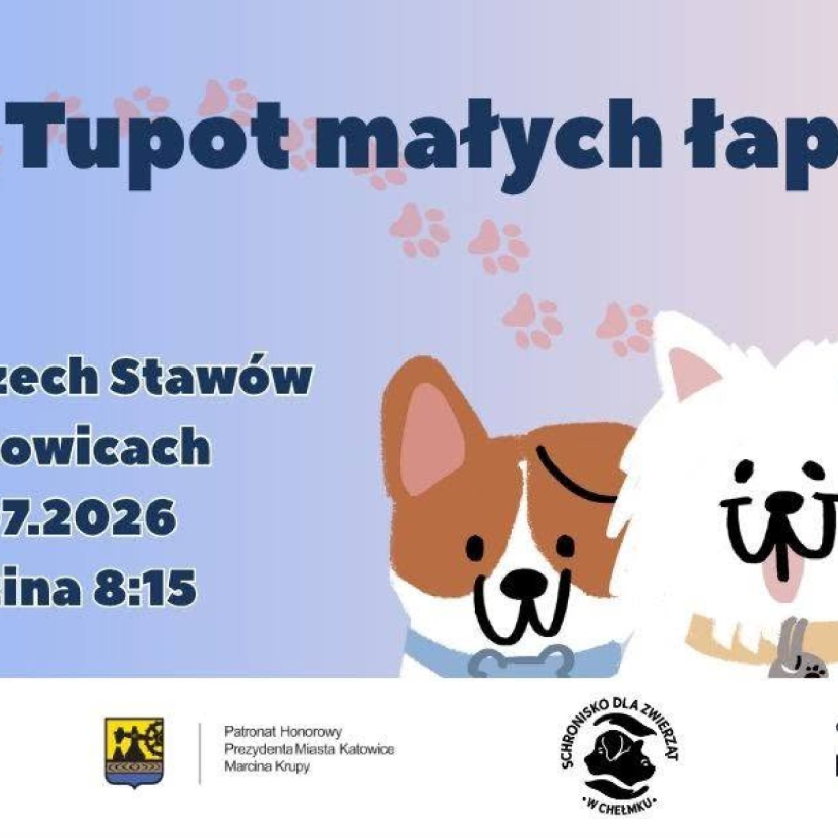 Tupot małych łapek – bieg charytatywny
