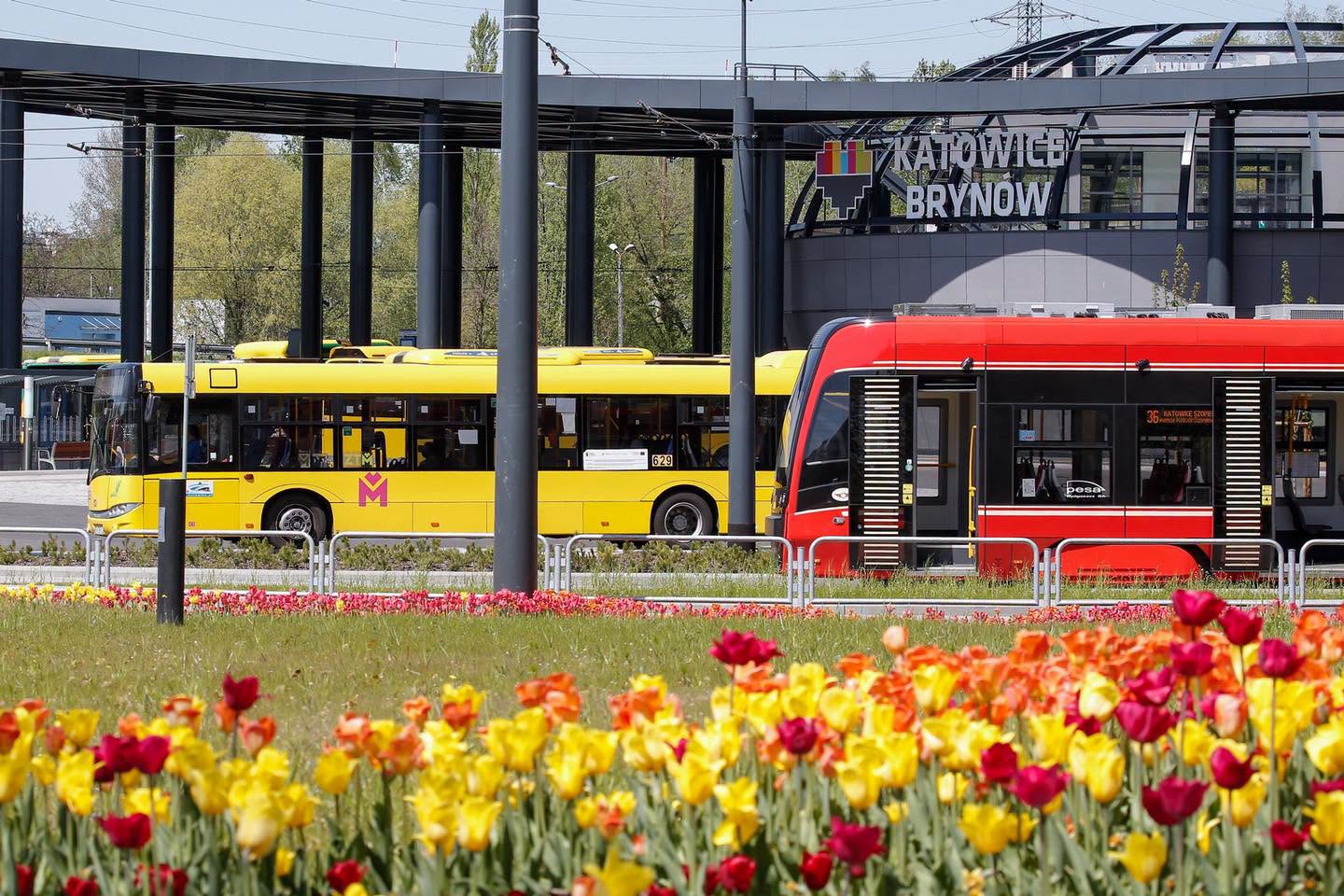 tramwaj i autobus