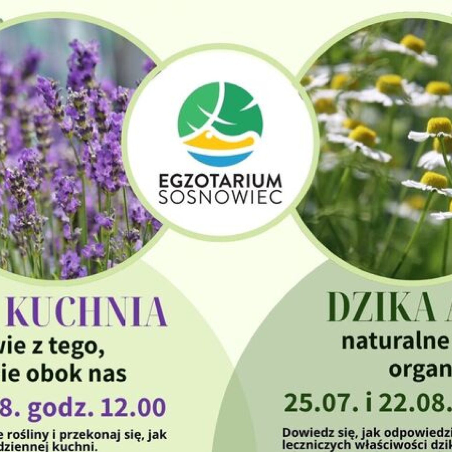 Plakat wydarzenia
