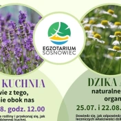 Plakat wydarzenia