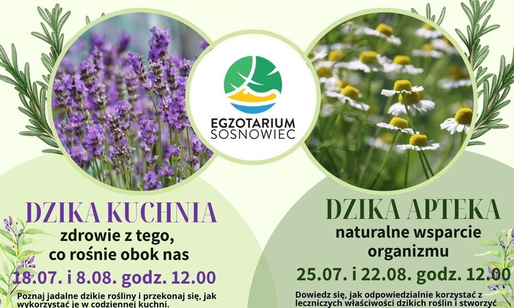 Plakat wydarzenia