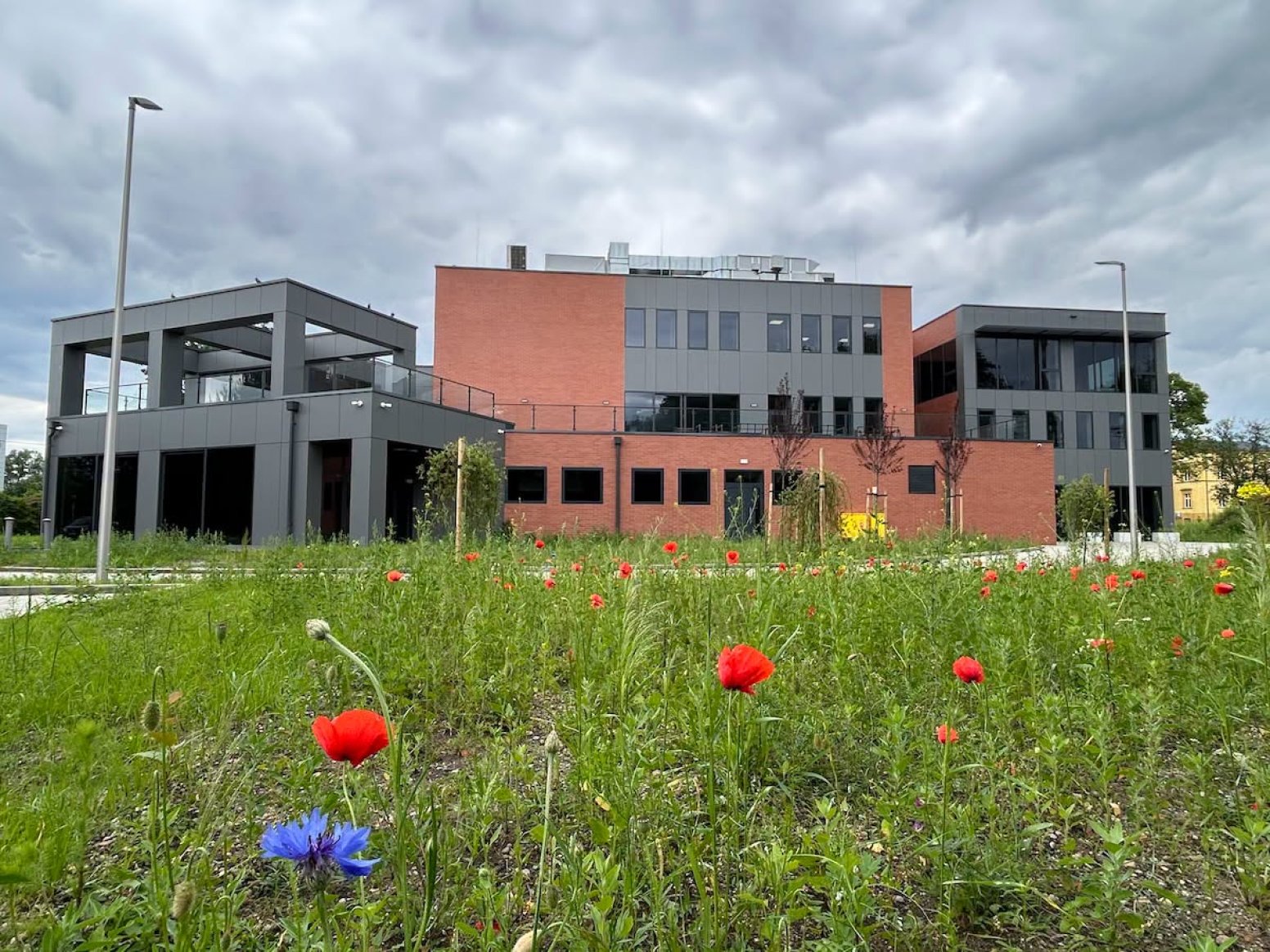 Widok na nowy budynek IT Hub