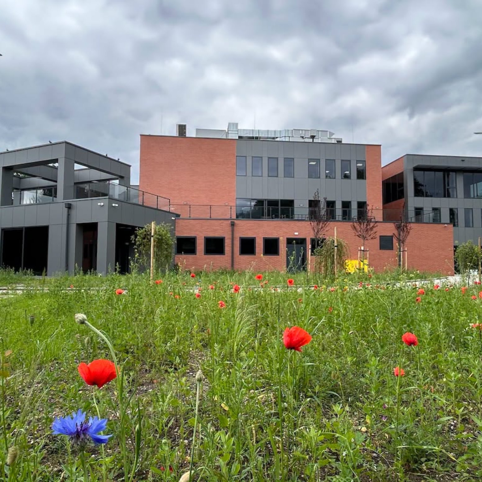 Widok na nowy budynek IT Hub