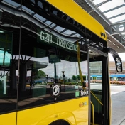 Żółty autobus