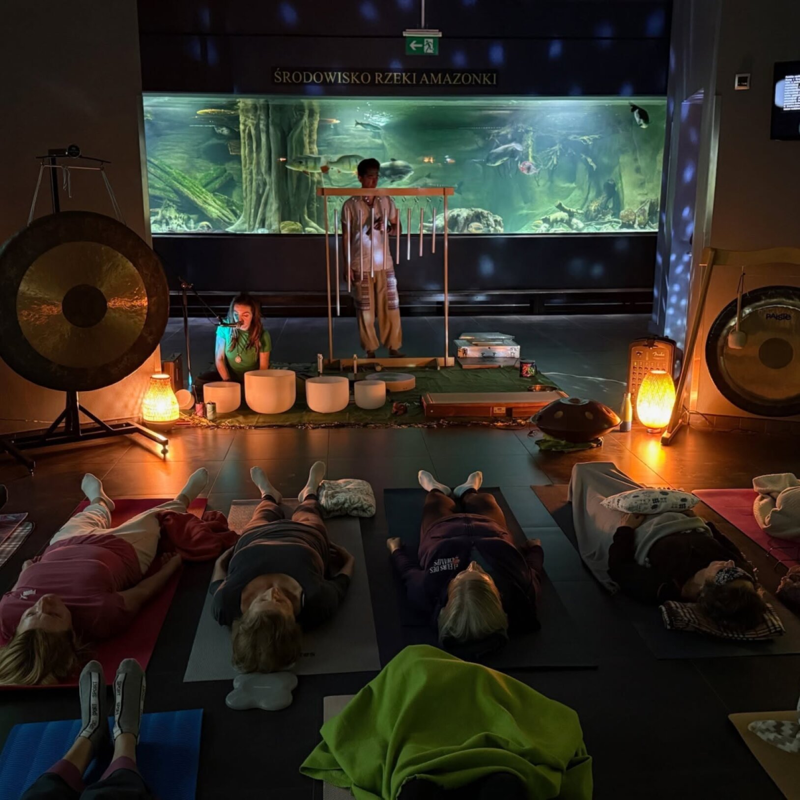 Joga i koncert relaksacyjny w Palmiarni