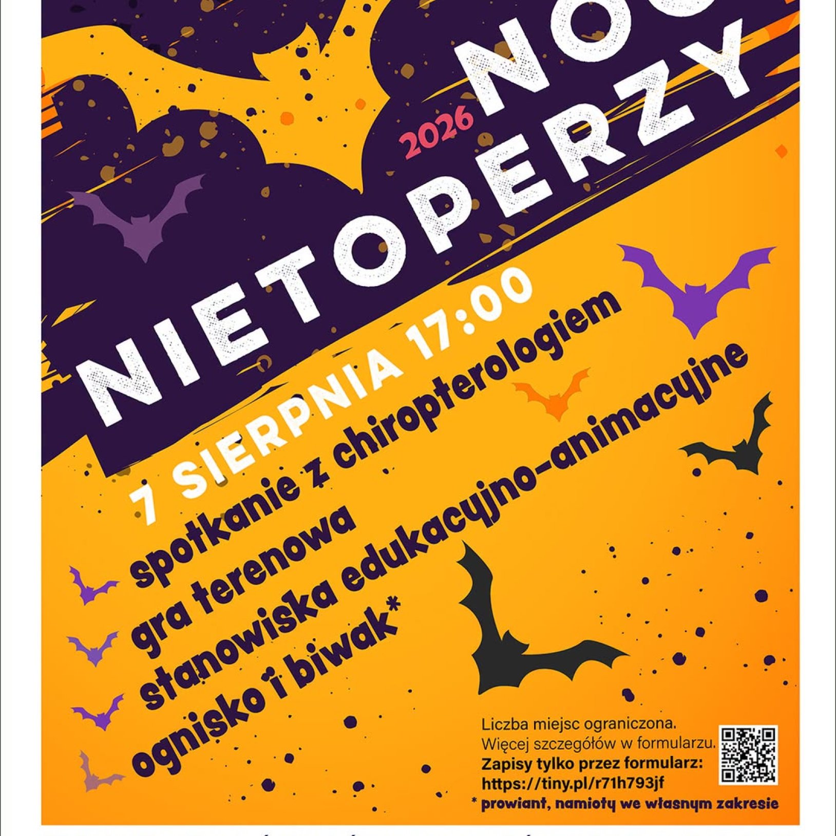 plakat noc nietoperzy
