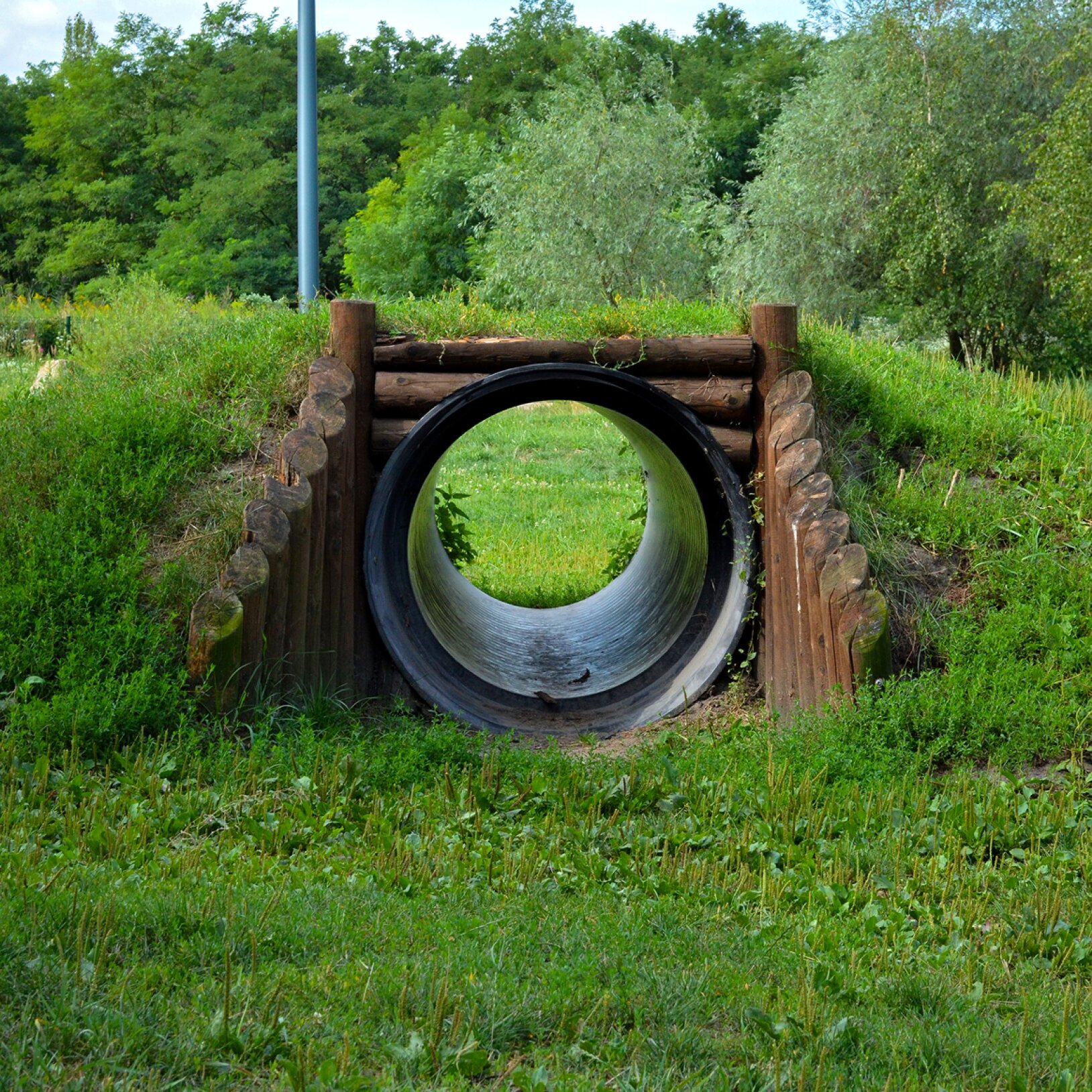 zdjęcie tunelu dla psów