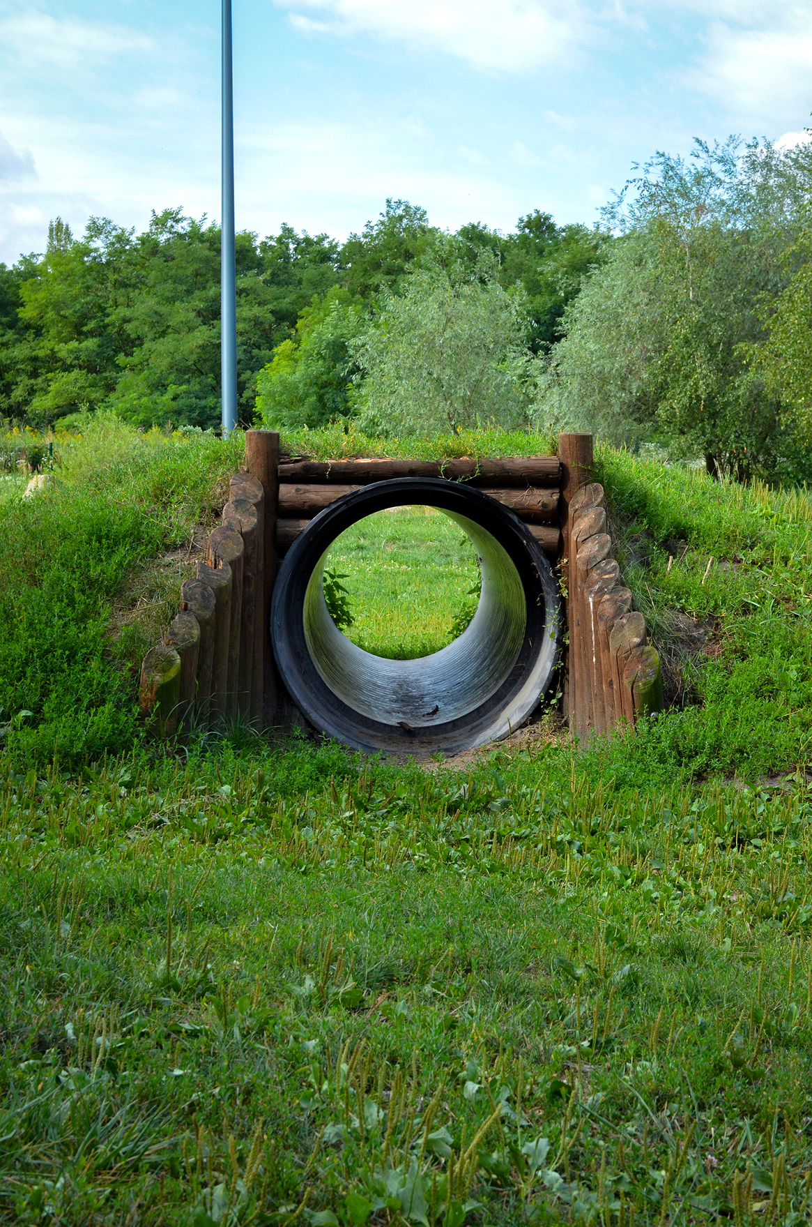 zdjęcie tunelu dla psów