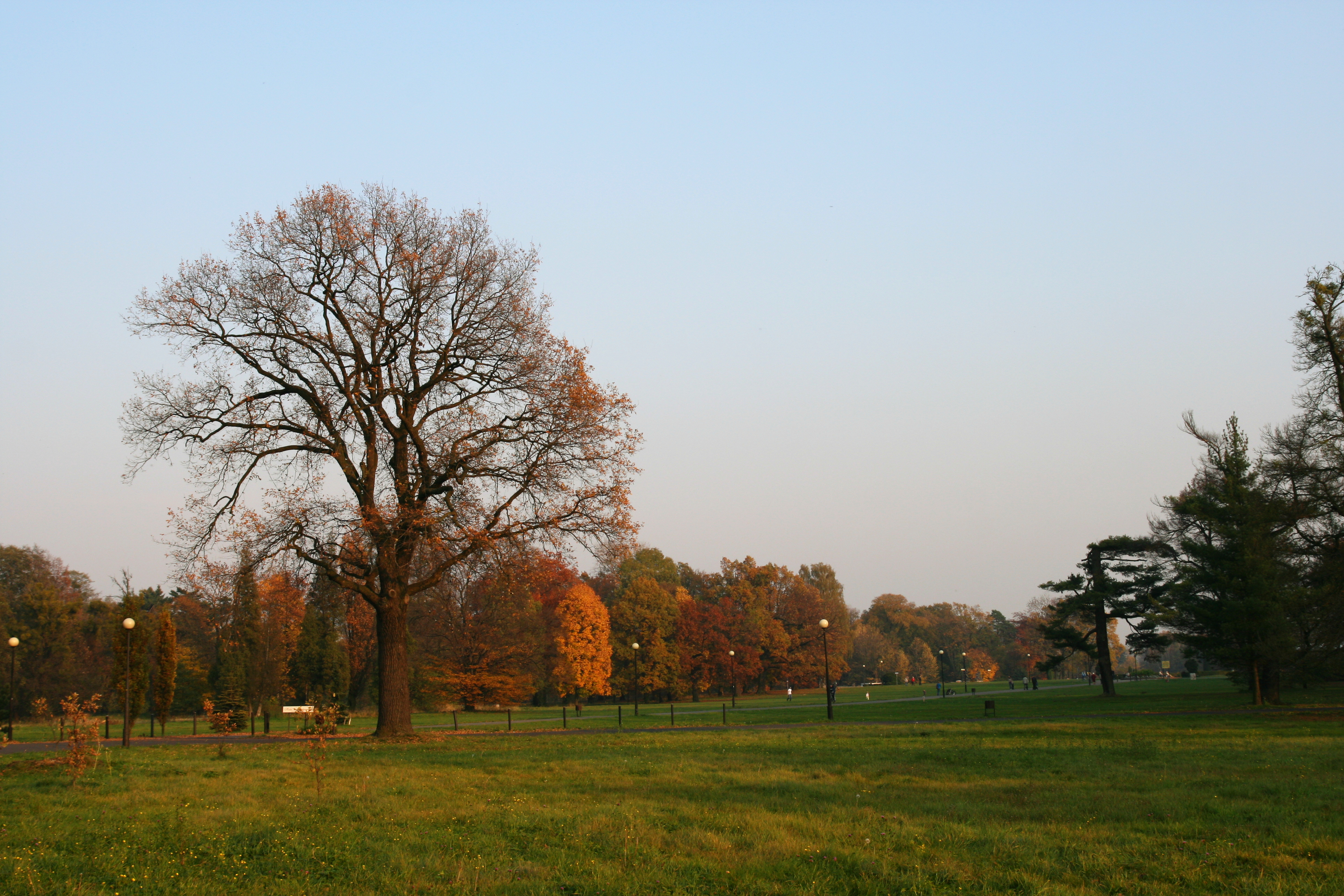 Park w Świerklańcu Autorstwa Lestat (Jan Mehlich) - Praca własna, CC BY-SA 3.0, https://commons.wikimedia.org/w/index.php?curid=5136915