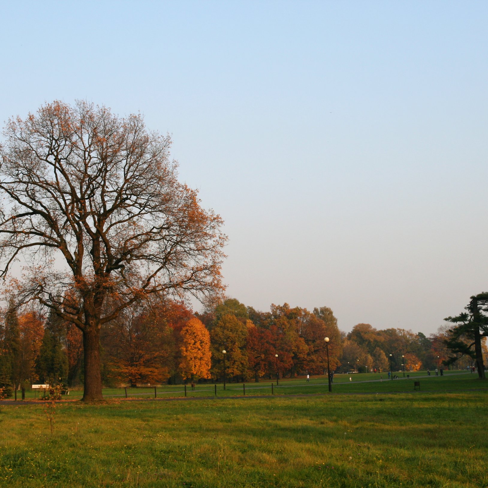 Park w Świerklańcu