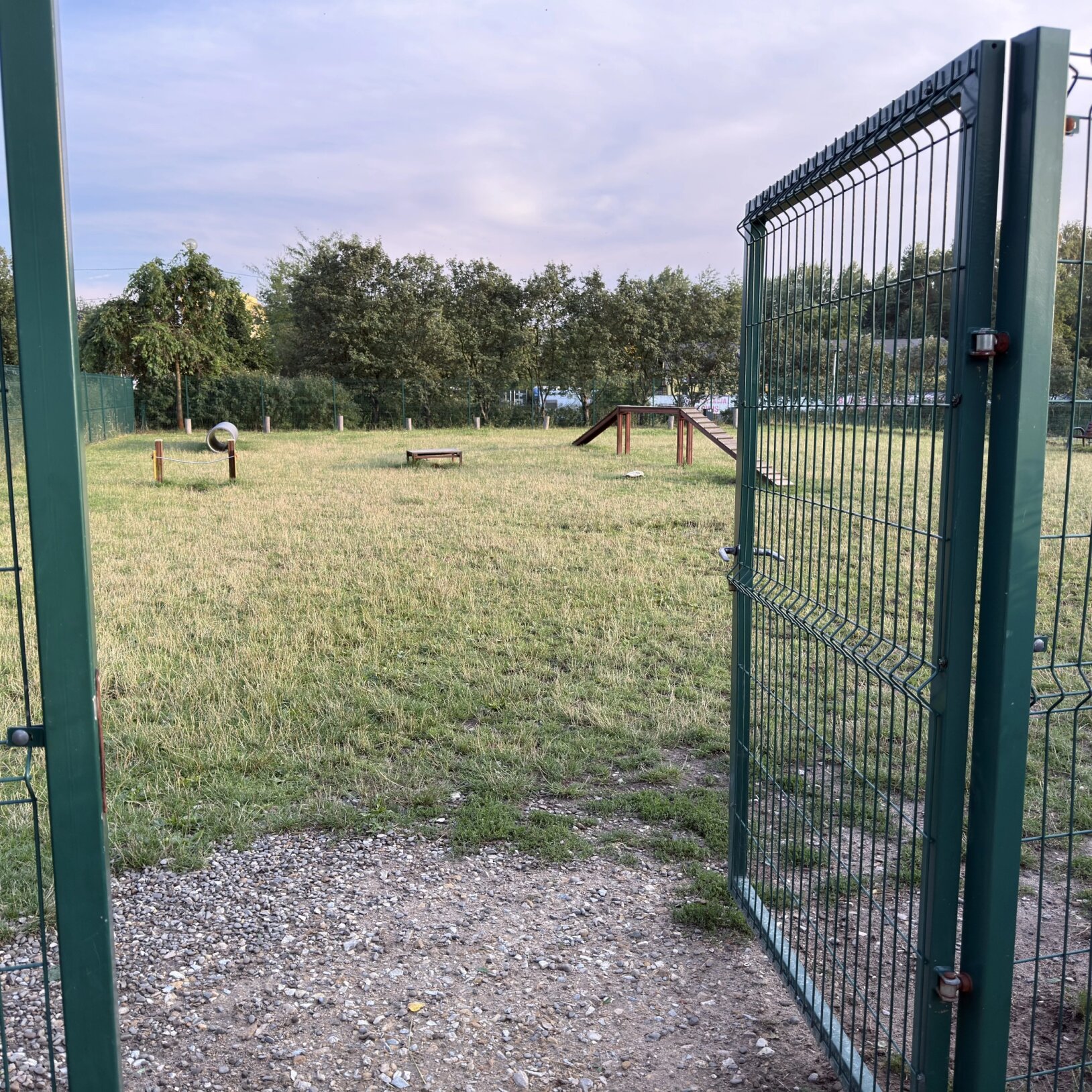 Wybieg dla psów w Jaworznie