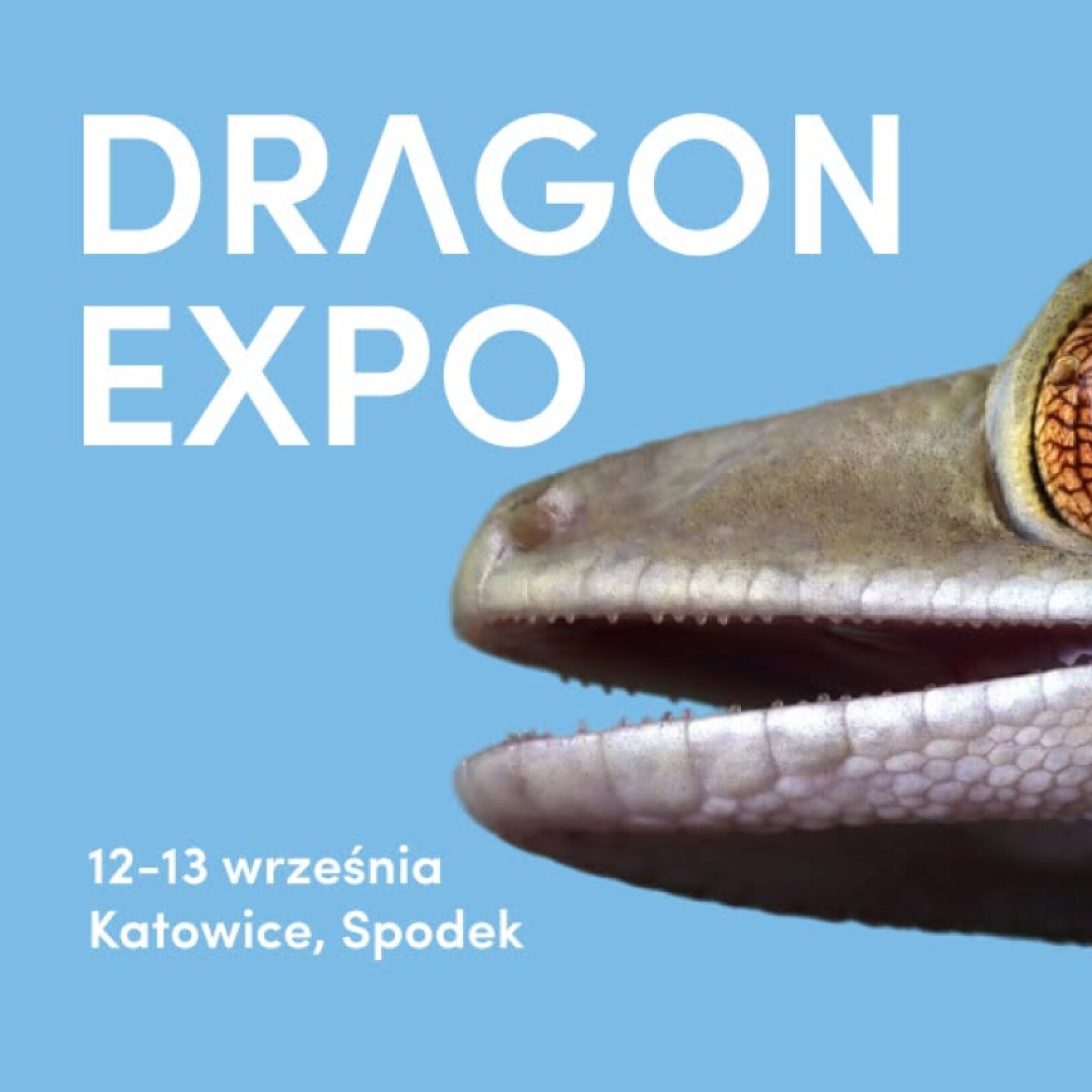 Event Terrarystyczny i Botaniczny Dragon Expo / Katowice