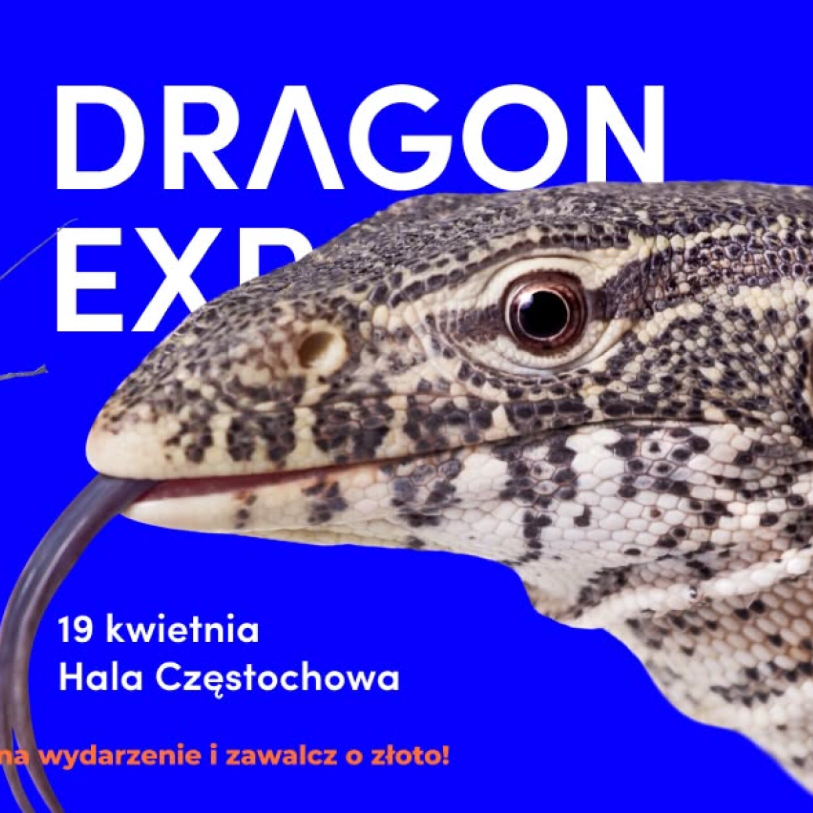 Event Terrarystyczny i Botaniczny Dragon Expo / Częstochowa