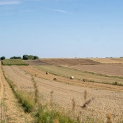 Pole ze zbożem po żniwach z belami siana