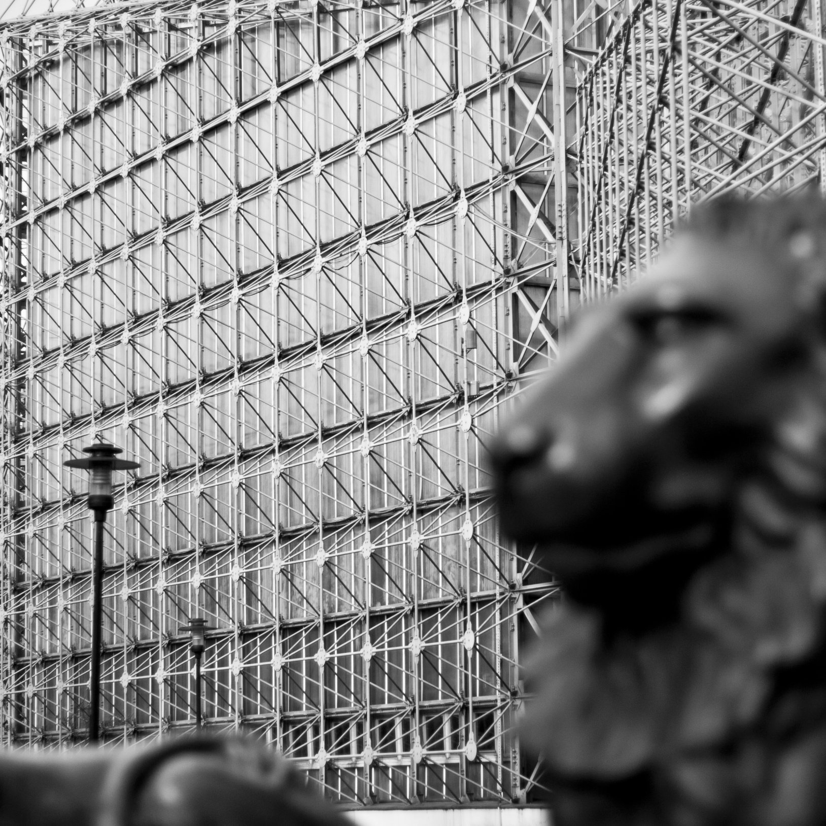 "Czarno-białe zdjęcie nowoczesnej fasady budynku Palmiarni w Gliwicach. W tle metalowa konstrukcja z siatką kratownicową, na pierwszym planie niewyraźnie widoczna figura lwa oraz lampa uliczna."