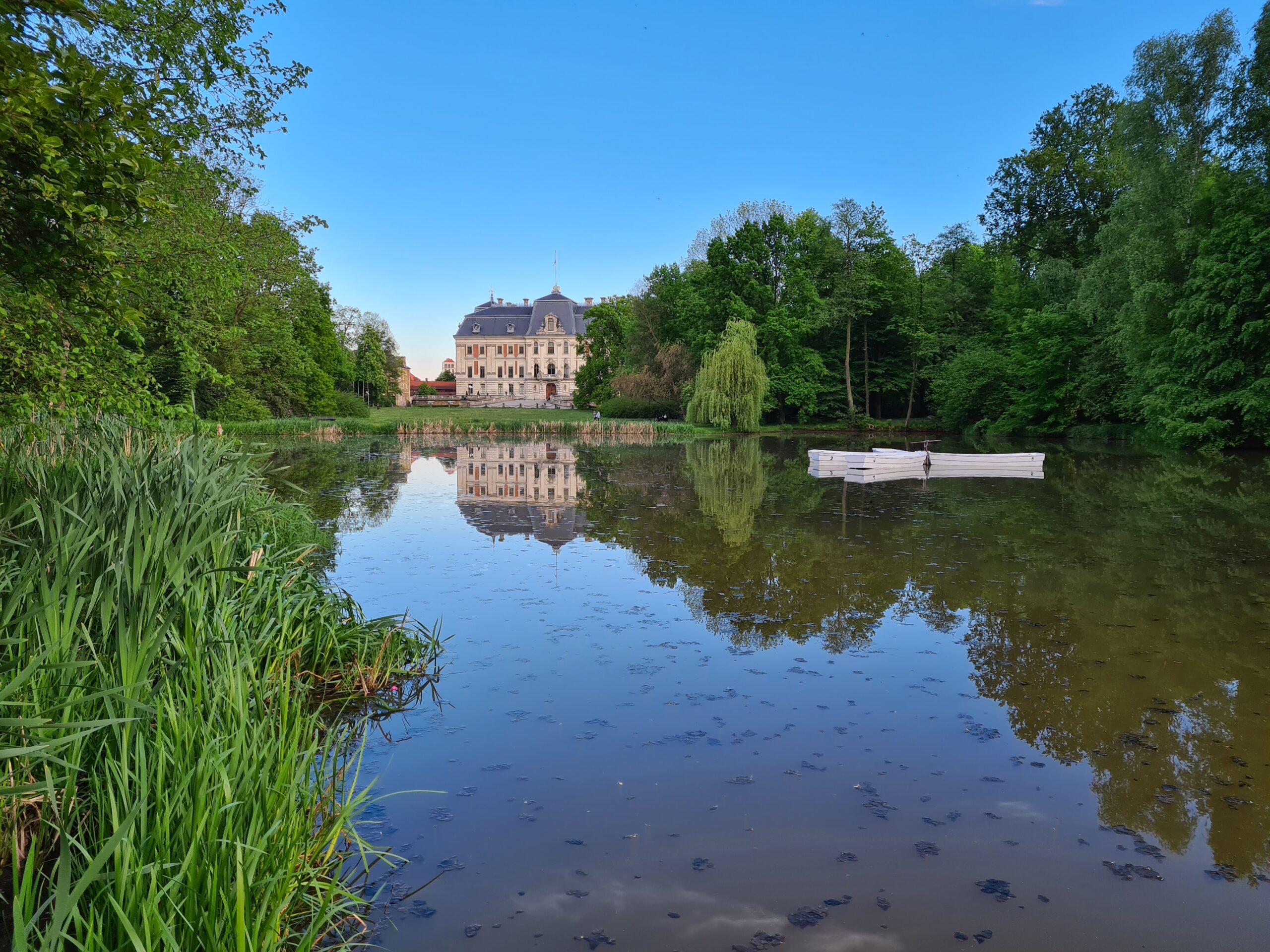 Park Pszczyński Oskar Piecuch - park-pszczynski.pl