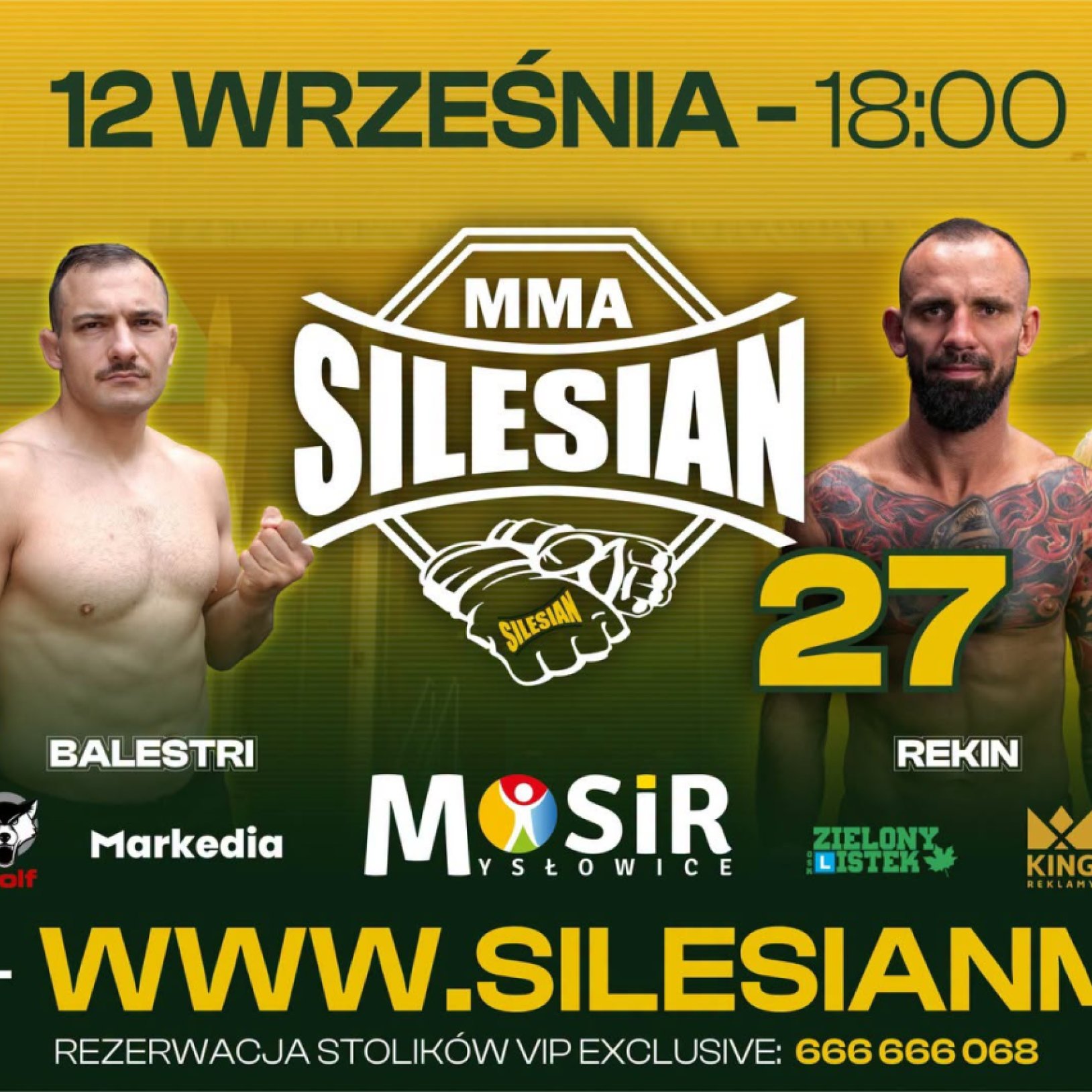 grafika przedstawiająca zawodników mma