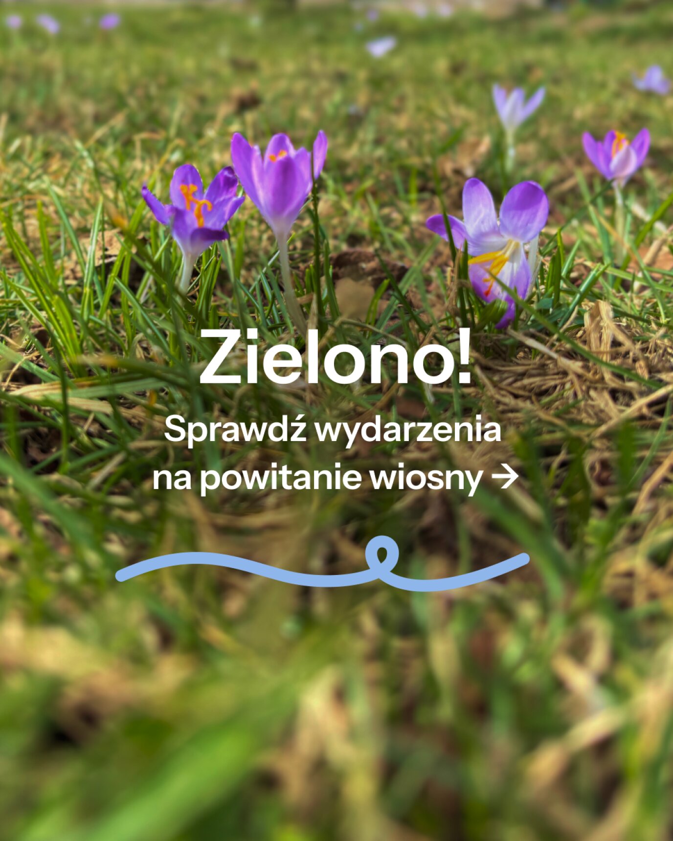 Zielono!