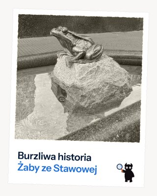 Burzliwa historia  Żaby ze Stawowej