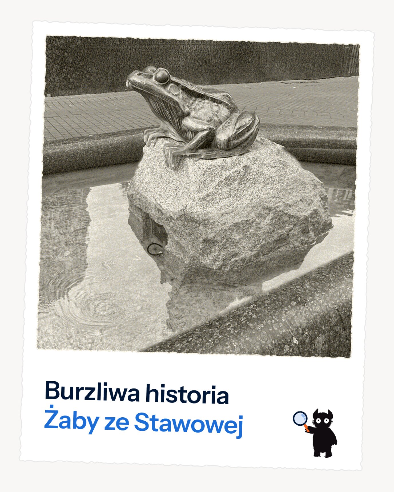 Burzliwa historia  Żaby ze Stawowej