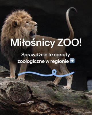 Miłośnicy ZOO!