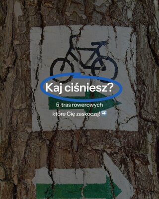 Kaj ciśniesz?