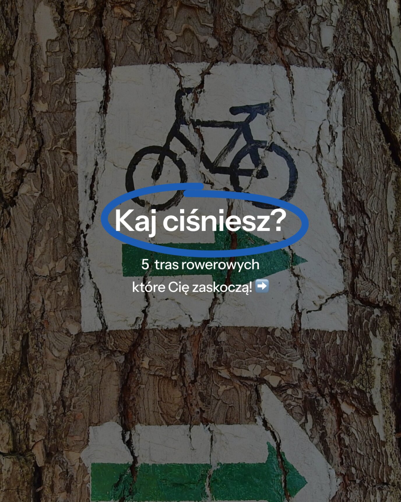 Kaj ciśniesz?