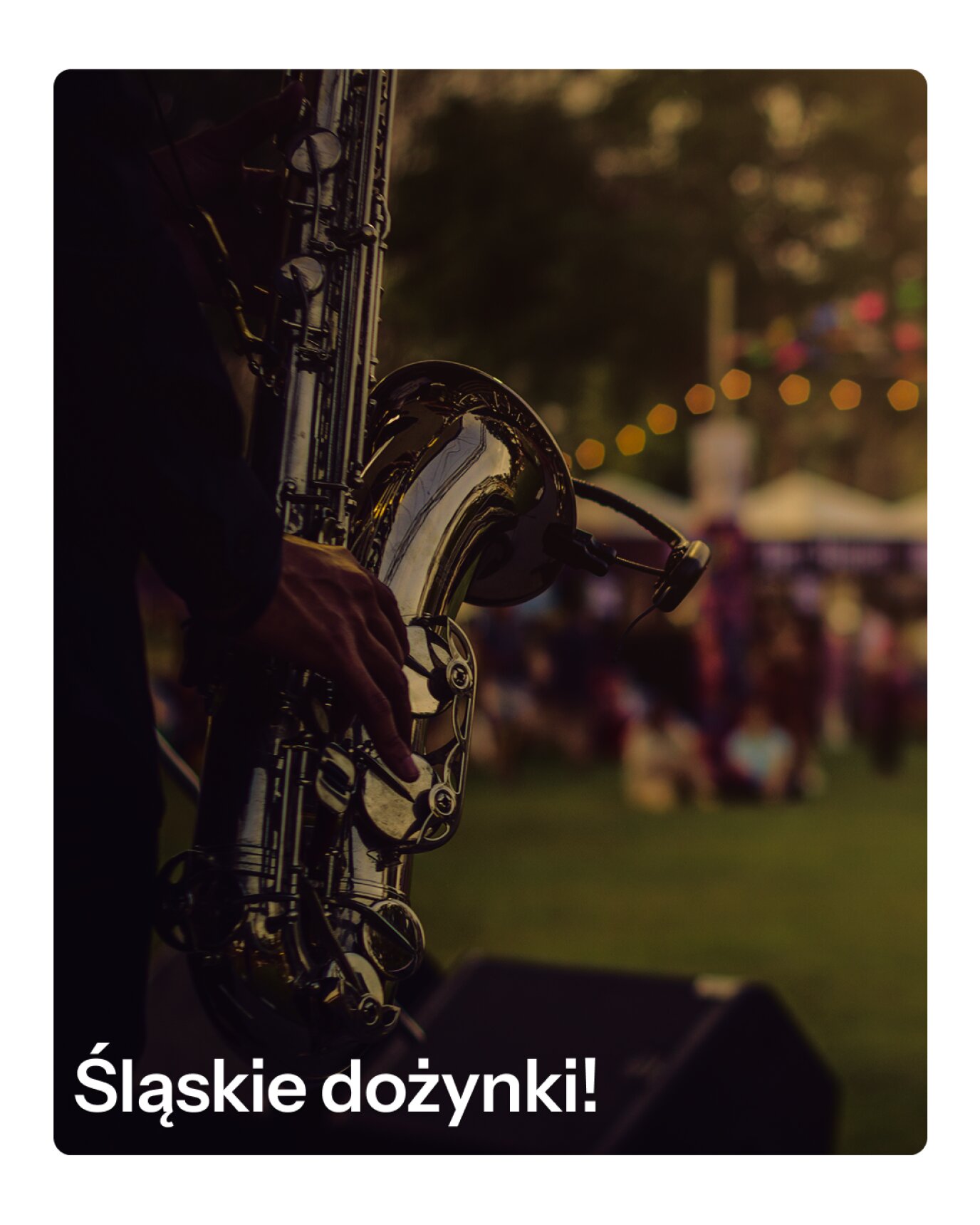 Śląskie dożynki!
