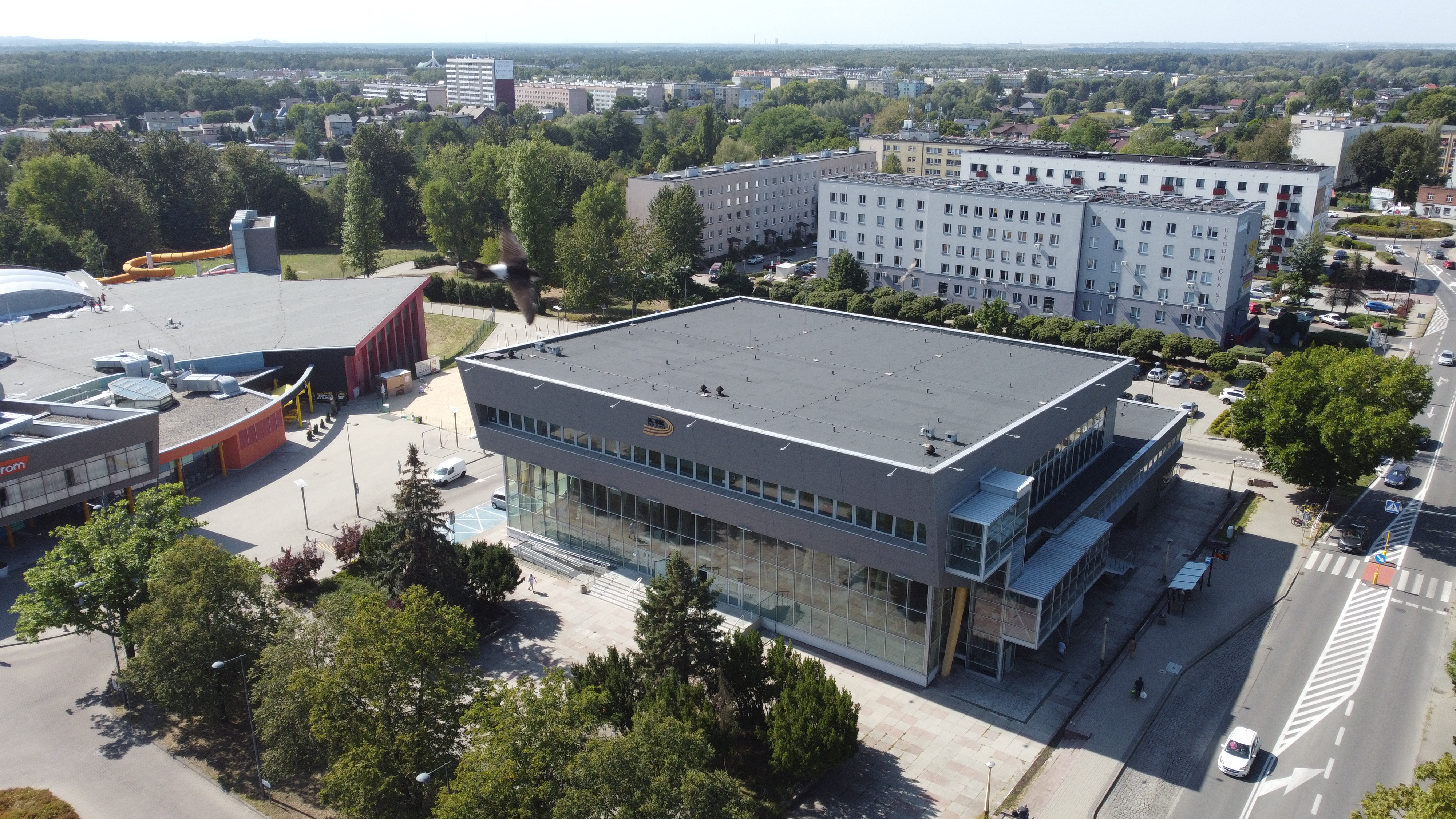 Hala widowiskowo-sportowa Halemba esil.pl / Daniel Magalski