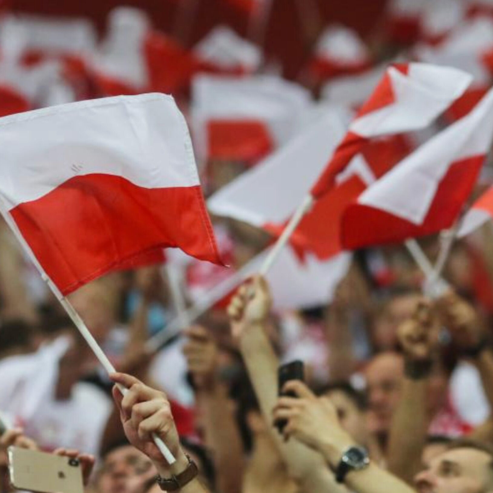 Kibice trzymające flagi Polski