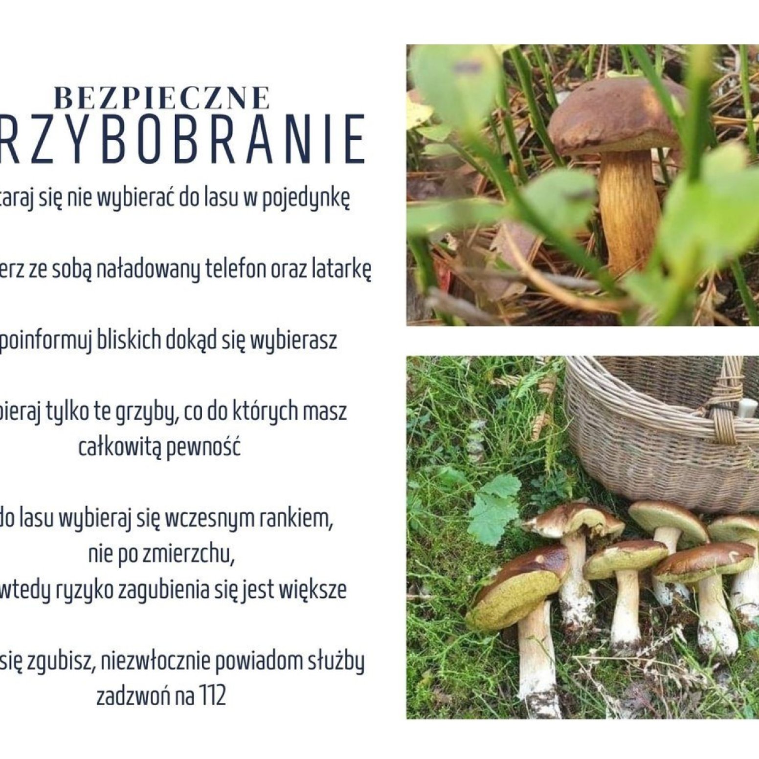 Plakat policyjny