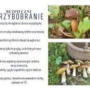 Plakat policyjny