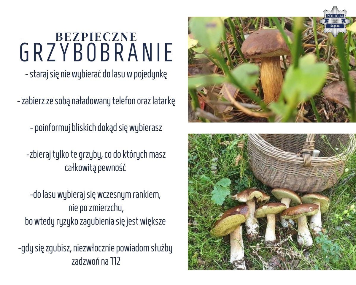 Plakat policyjny