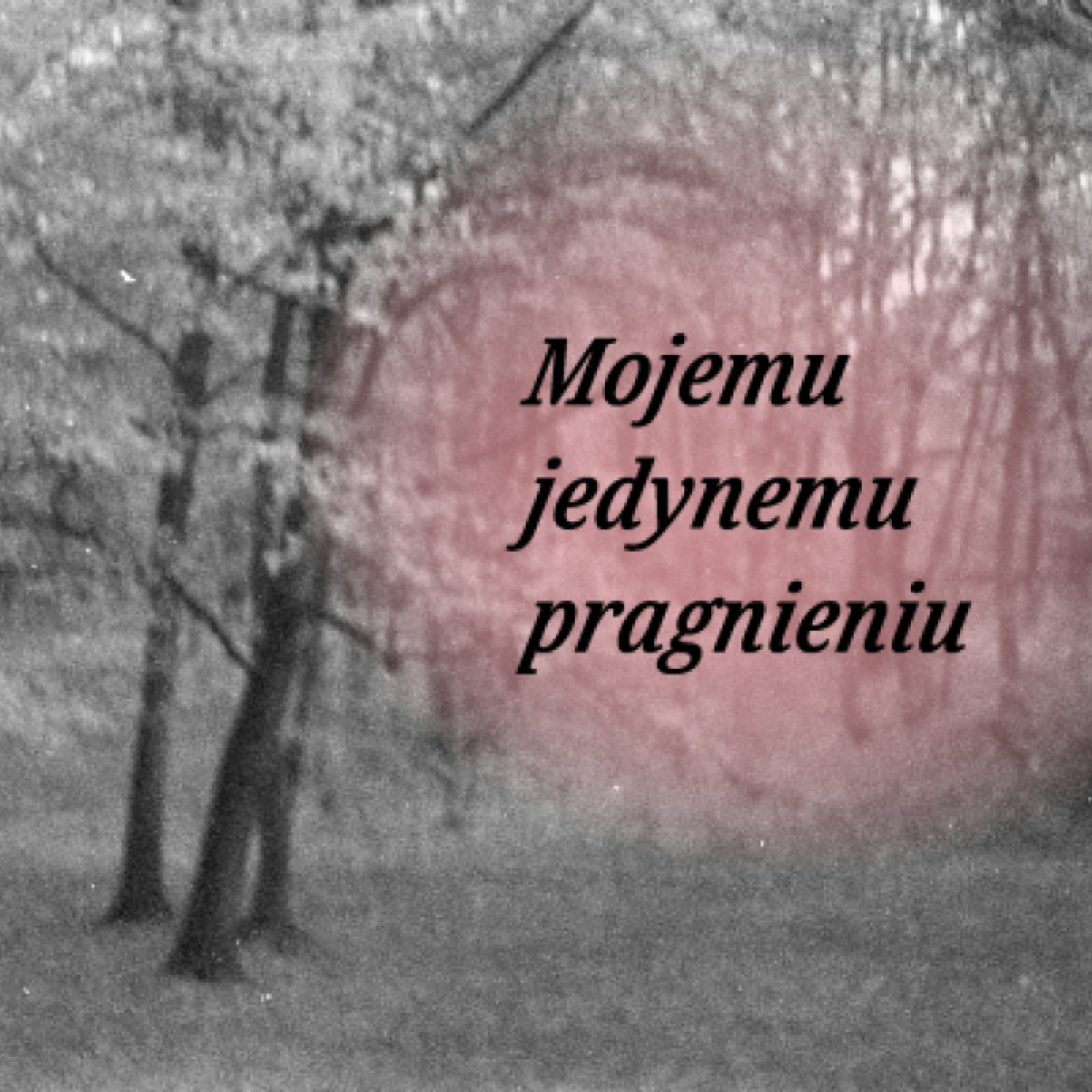 Mojemu jedynemu pragnieniu