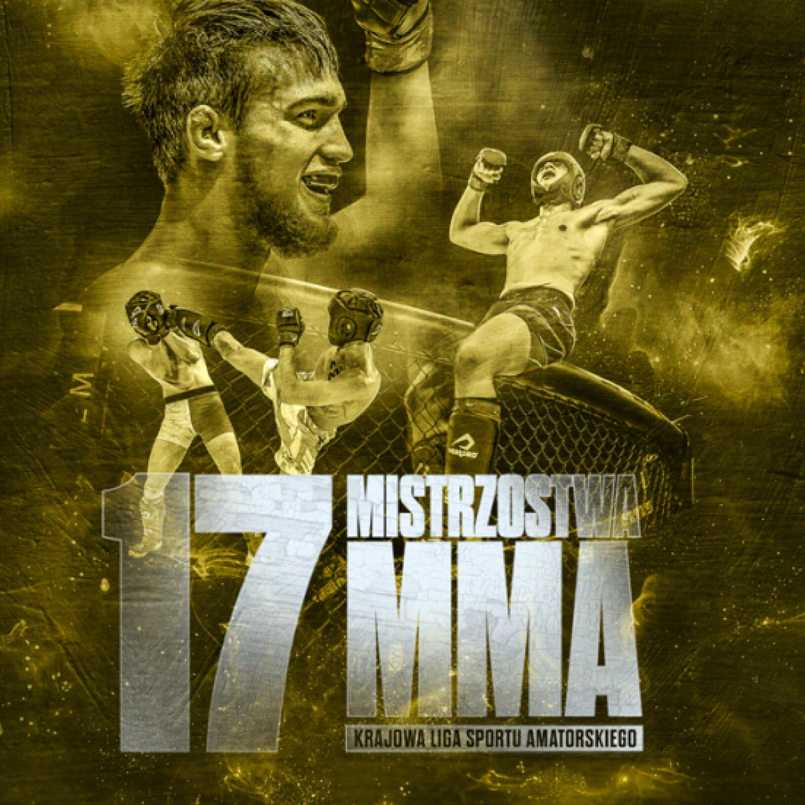 17. Mistrzostwa MMA Polska