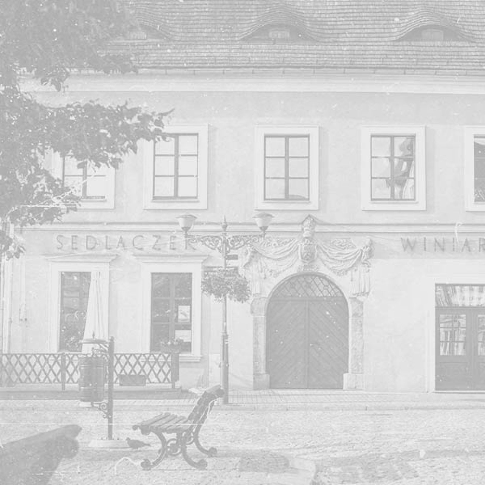 Otwarcie wystawy Kierunek Grafika – Przystanek Tarnowskie Góry