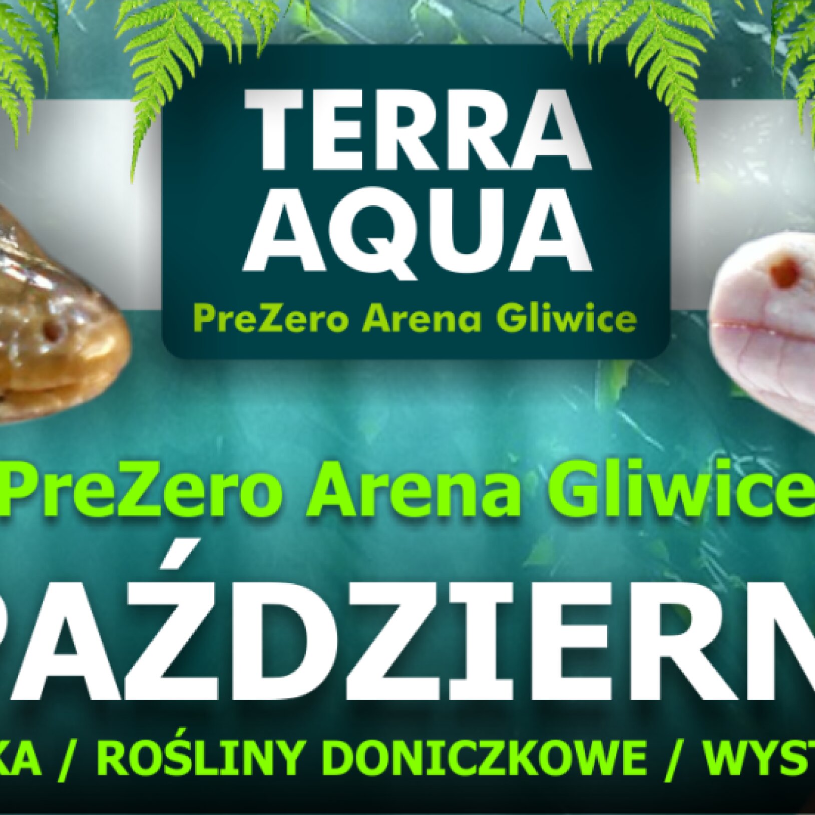 Terra Aqua w PreZero Arena