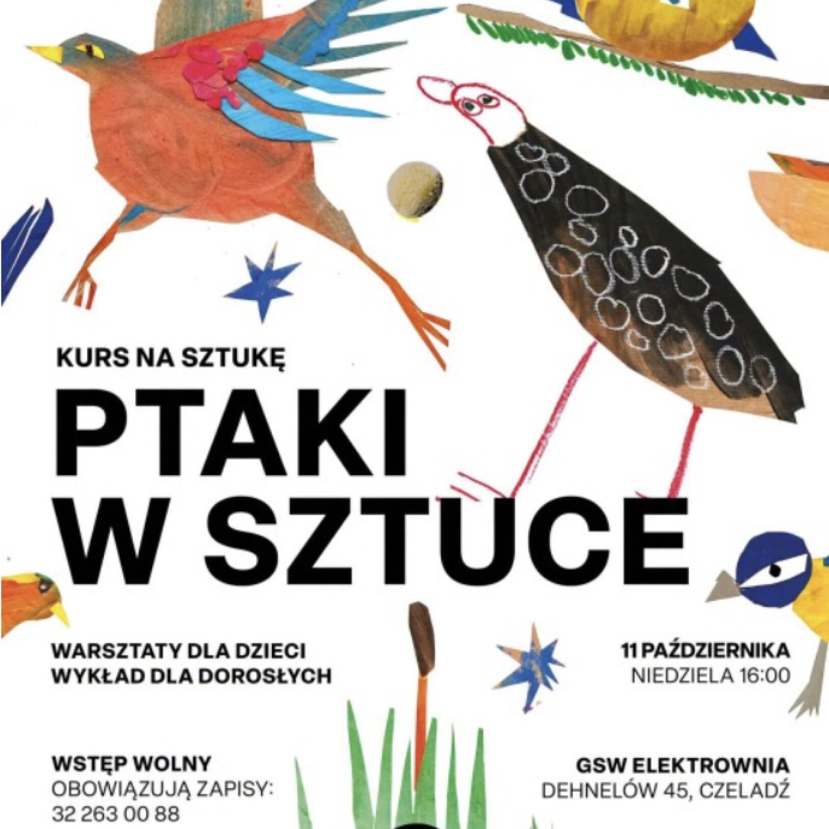 Kolorowe ptaki na białym tle