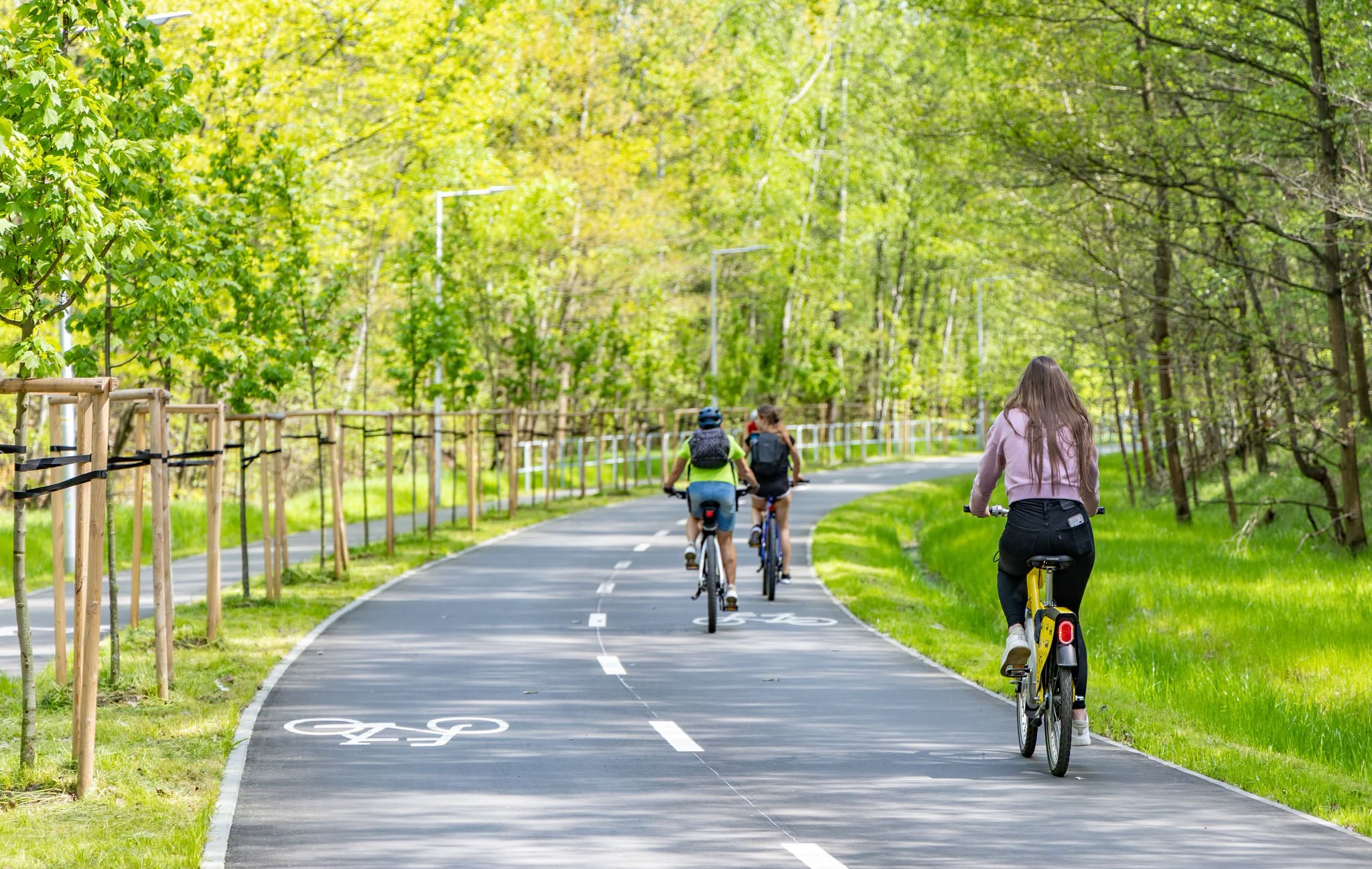 Velostrada połączy Katowice z Sosnowcem