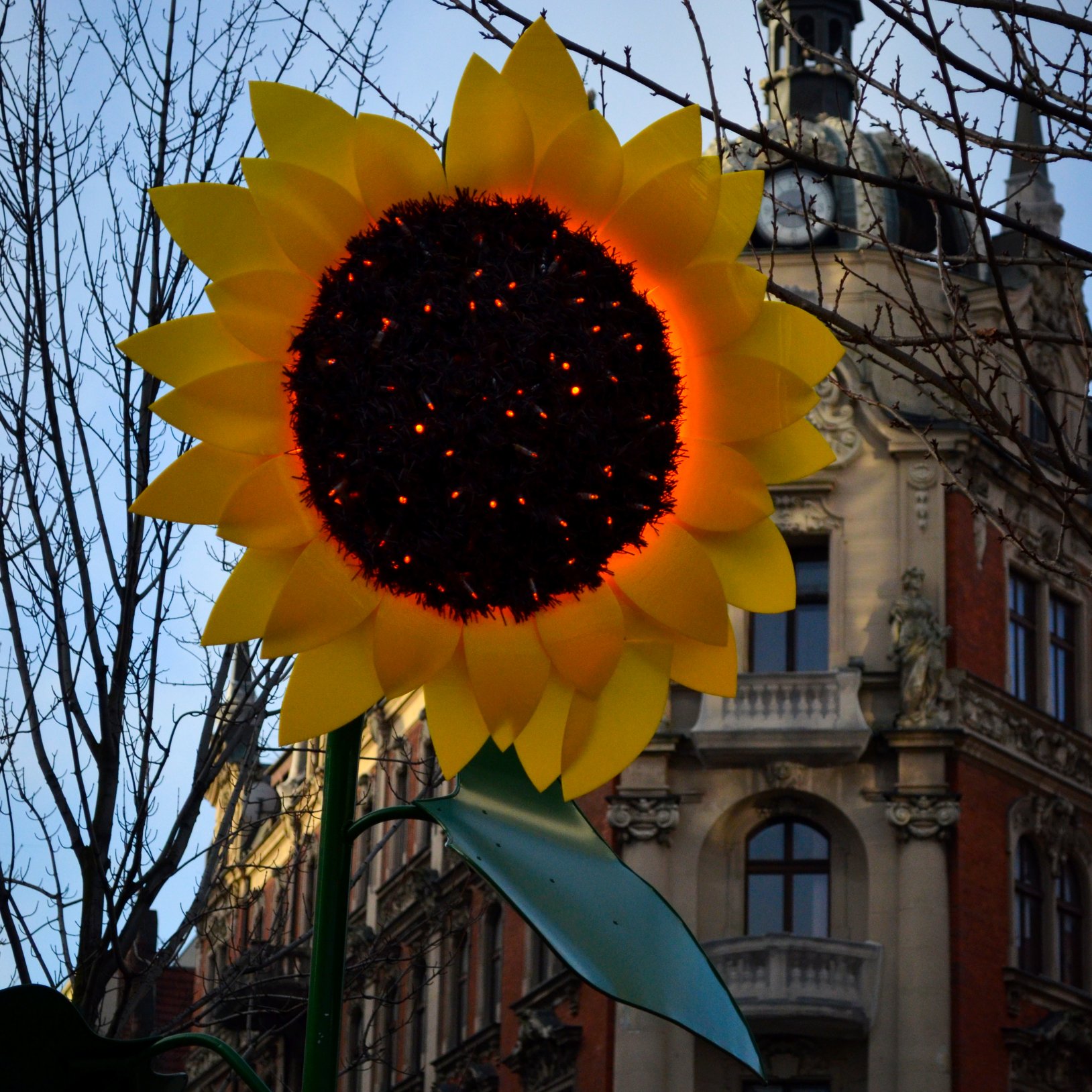 "Zbliżenie na dużą, dekoracyjną rzeźbę słonecznika wykonaną z tworzywa, z żółtymi płatkami i podświetlanym środkiem. W tle widoczna zabytkowa kamienica z bogato zdobioną elewacją i balkonem oraz gałęzie drzew bez liści."