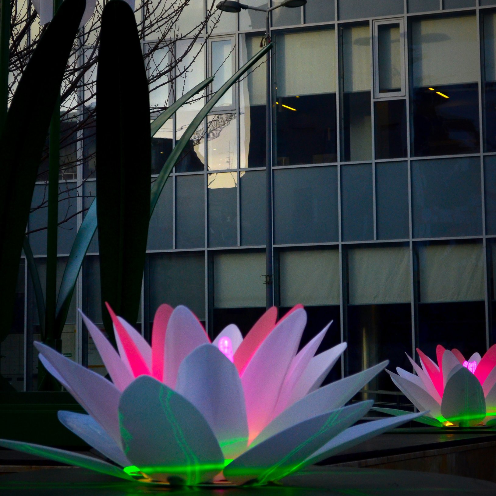 "Zbliżenie na instalację świetlną w formie różowo-białych kwiatów lotosu z podświetleniem LED. W tle widoczna nowoczesna szklana fasada biurowca z dużymi oknami i odbiciami otoczenia."